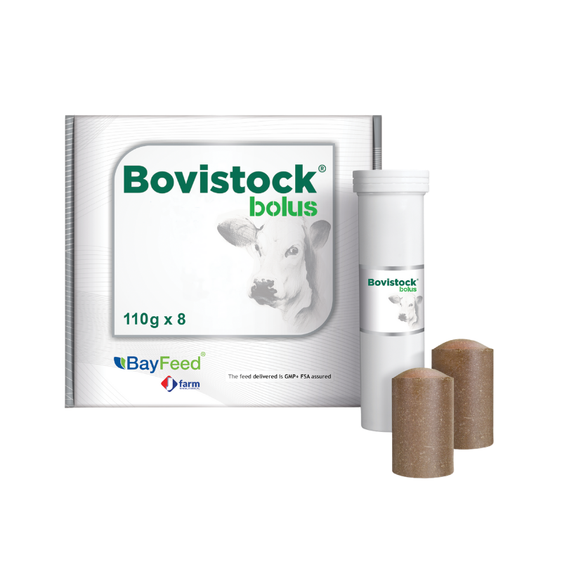   Bovistock Bolus